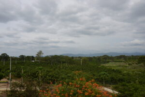 visita a fazenda com as crianças 004